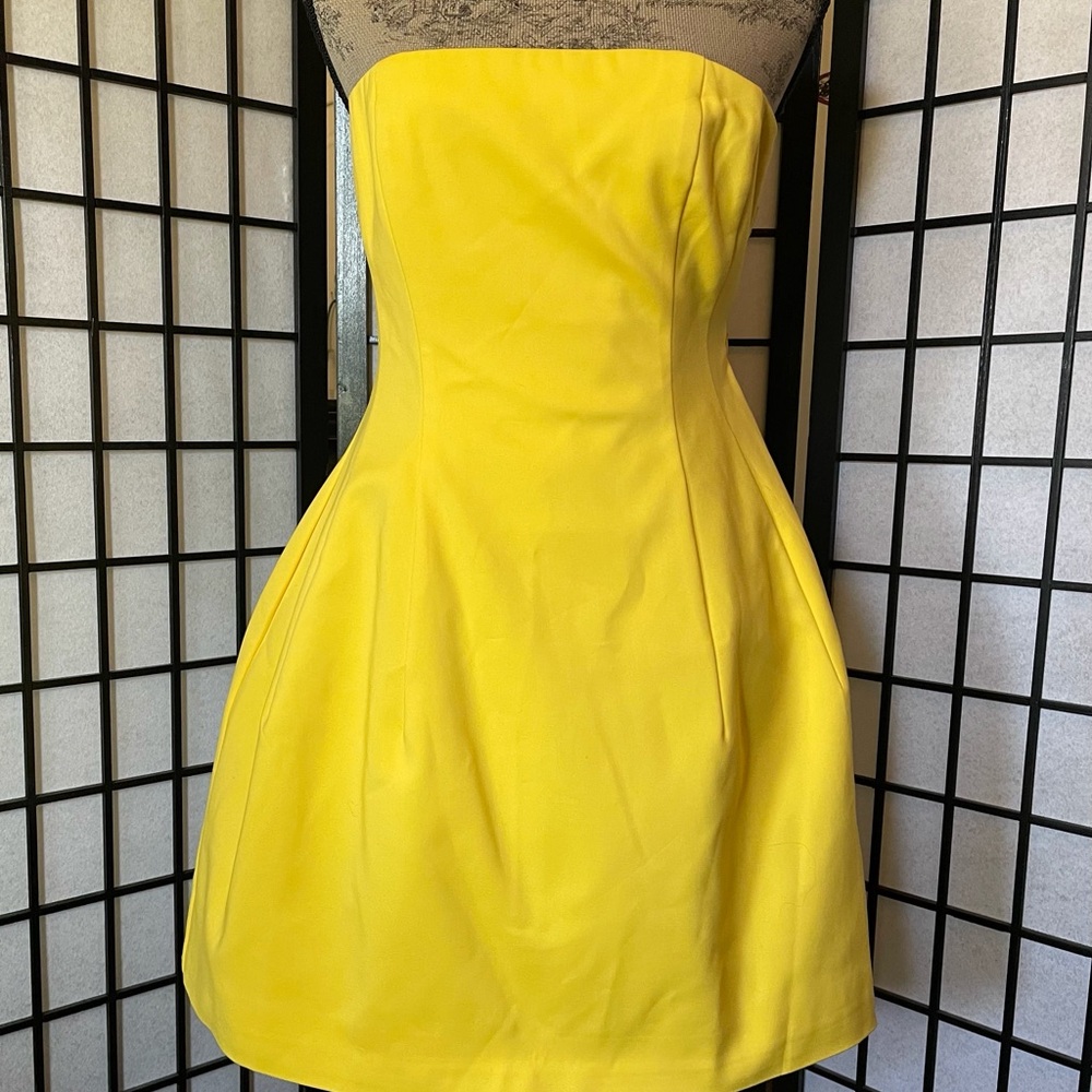 Jonathan Simkhai Strapless Yellow Fit & Flare Dress